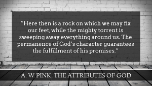 Pink on Attributes